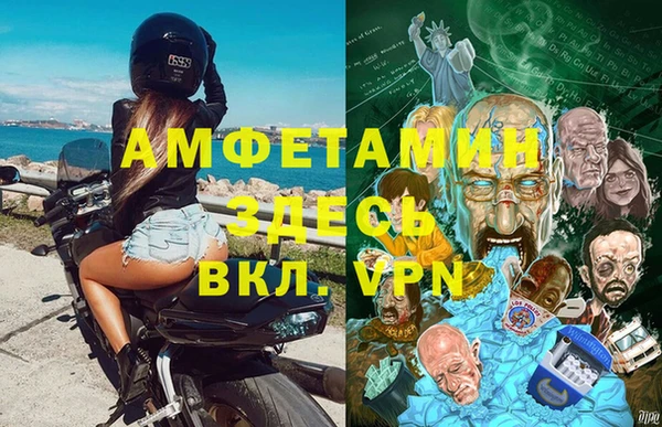 гидра Алексеевка