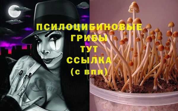 гидра Алексеевка