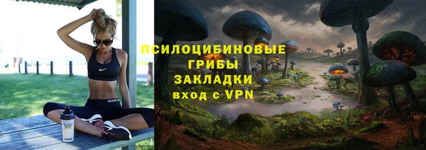 гидра Алексеевка