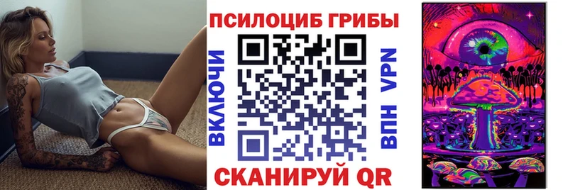 наркотики Сыктывкар Псилоцибиновые грибы Cubensis